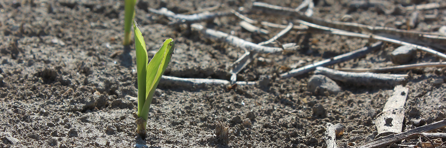 Why Analyzing Yield Data Is Important for Maximizing Field Output